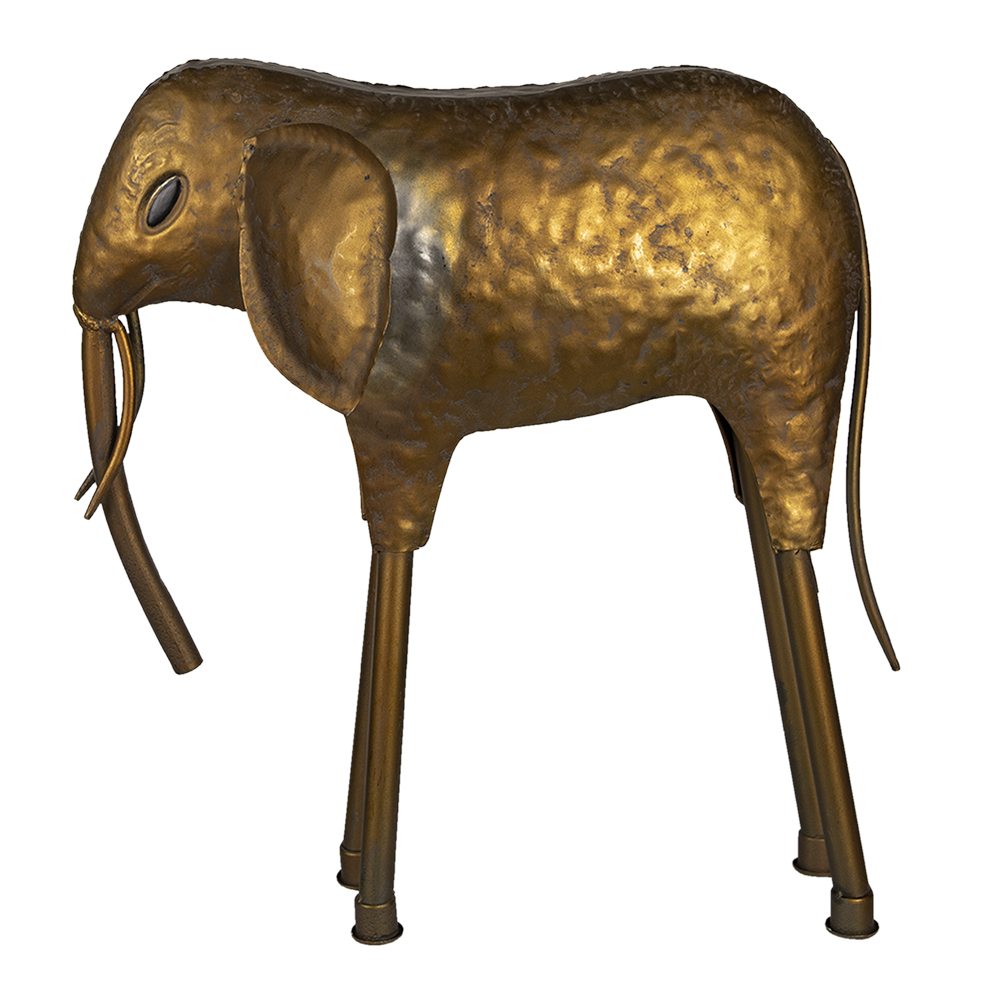6Y4296_01.jpg