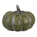 6CE1761_02.jpg