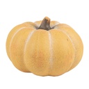 6CE1759_01.jpg