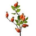 6PL0390O_01.jpg