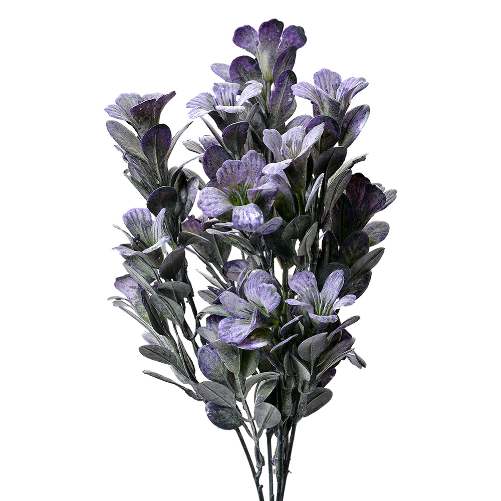 6PL0382BL_01.jpg