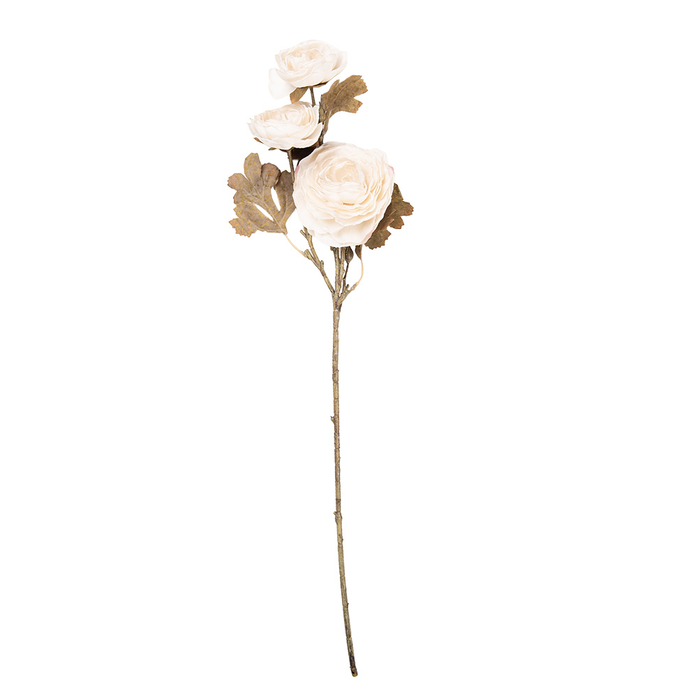 5PL0248W_02.jpg