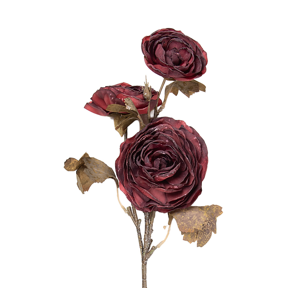 5PL0248R_01.jpg