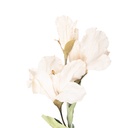 5PL0256BE_01.jpg