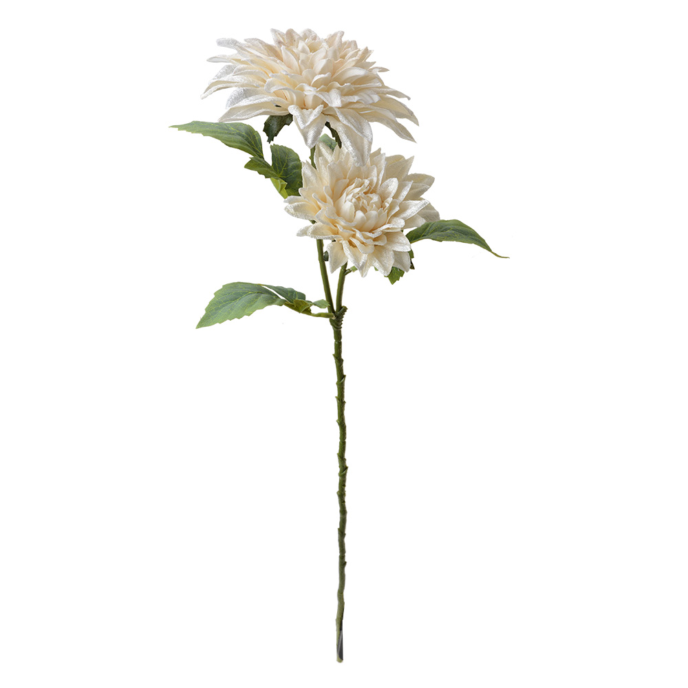 6PL0339W_02.jpg
