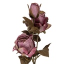 5PL0241PA_01.jpg