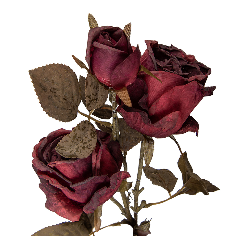 5PL0241DP_01.jpg