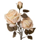 5PL0241W_01.jpg