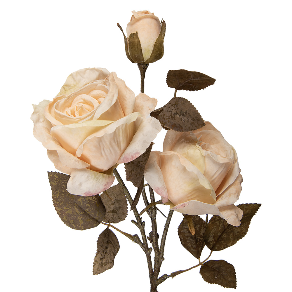 5PL0241W_01.jpg