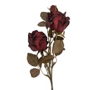 5PL0241BU_01.jpg