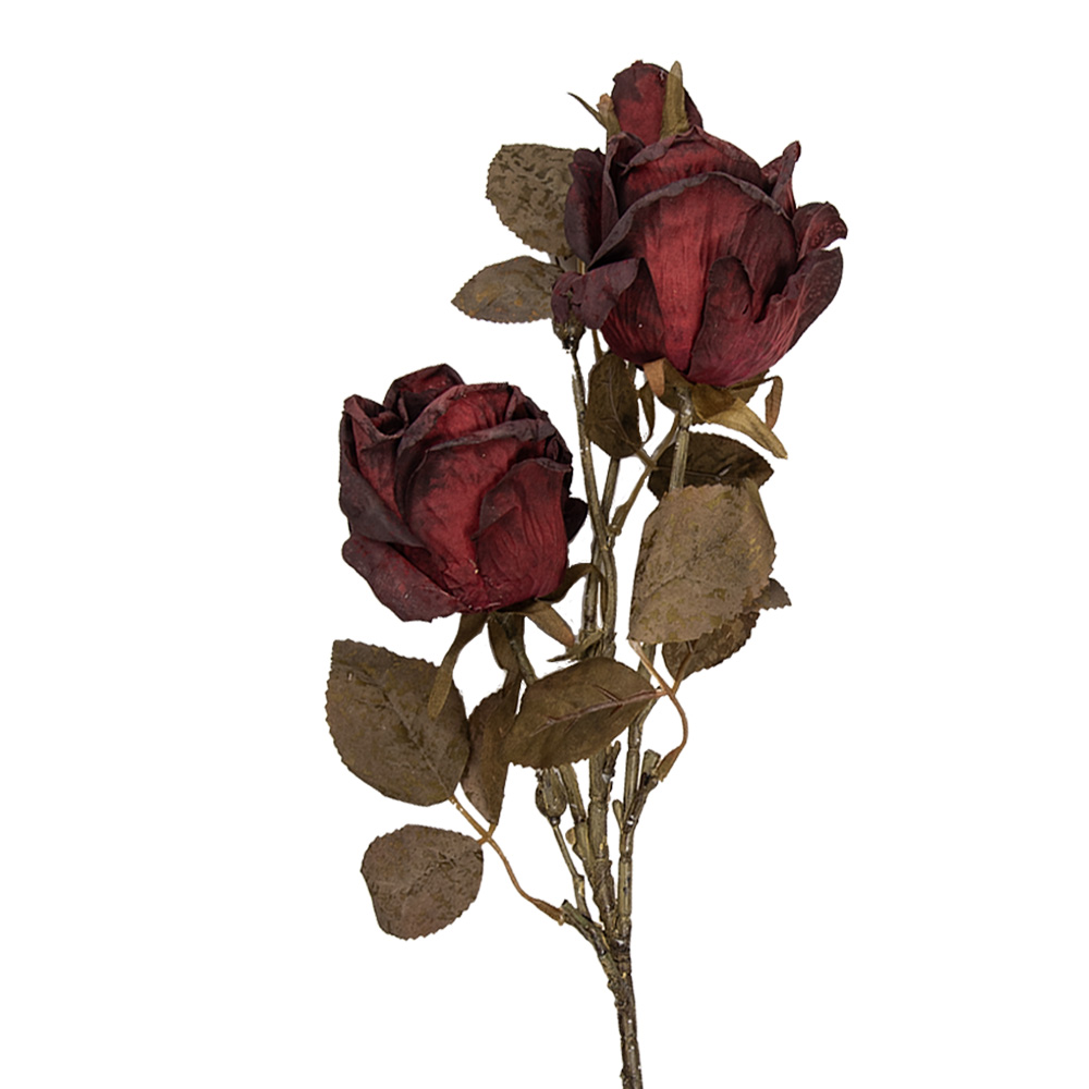 5PL0241BU_01.jpg
