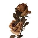 5PL0241BE_01.jpg