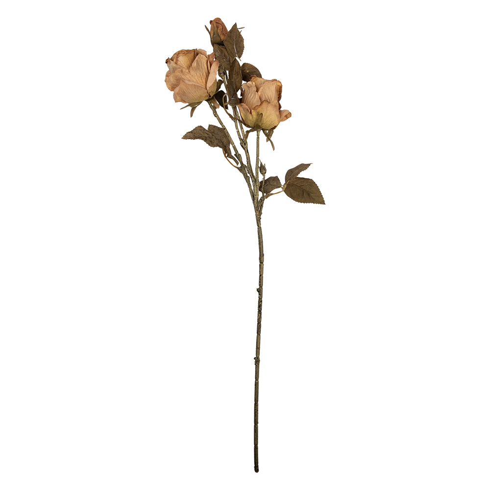 5PL0241BE_02.jpg