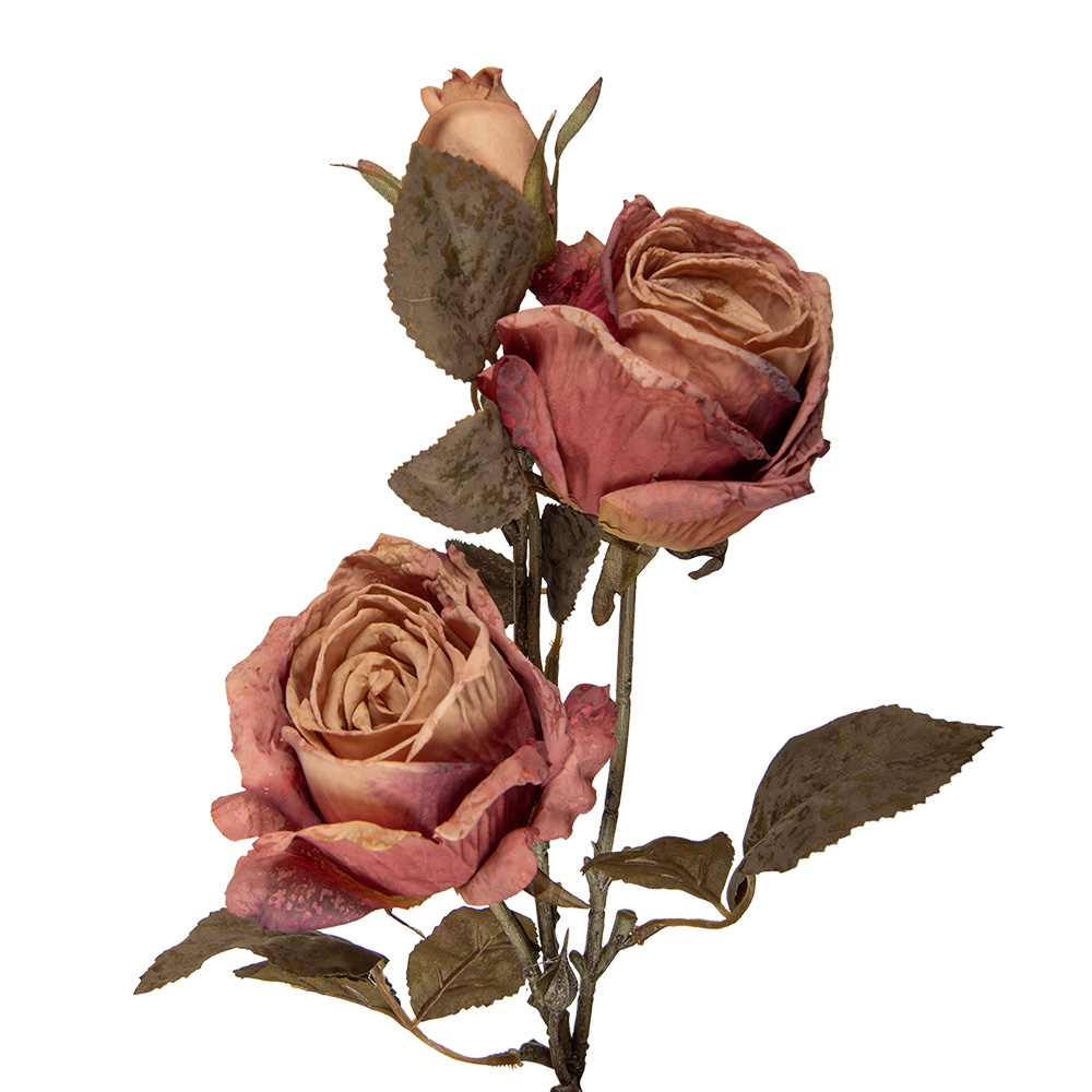 5PL0241LP_01.jpg