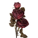 5PL0245R_01.jpg