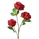 5PL0166R_01.jpg
