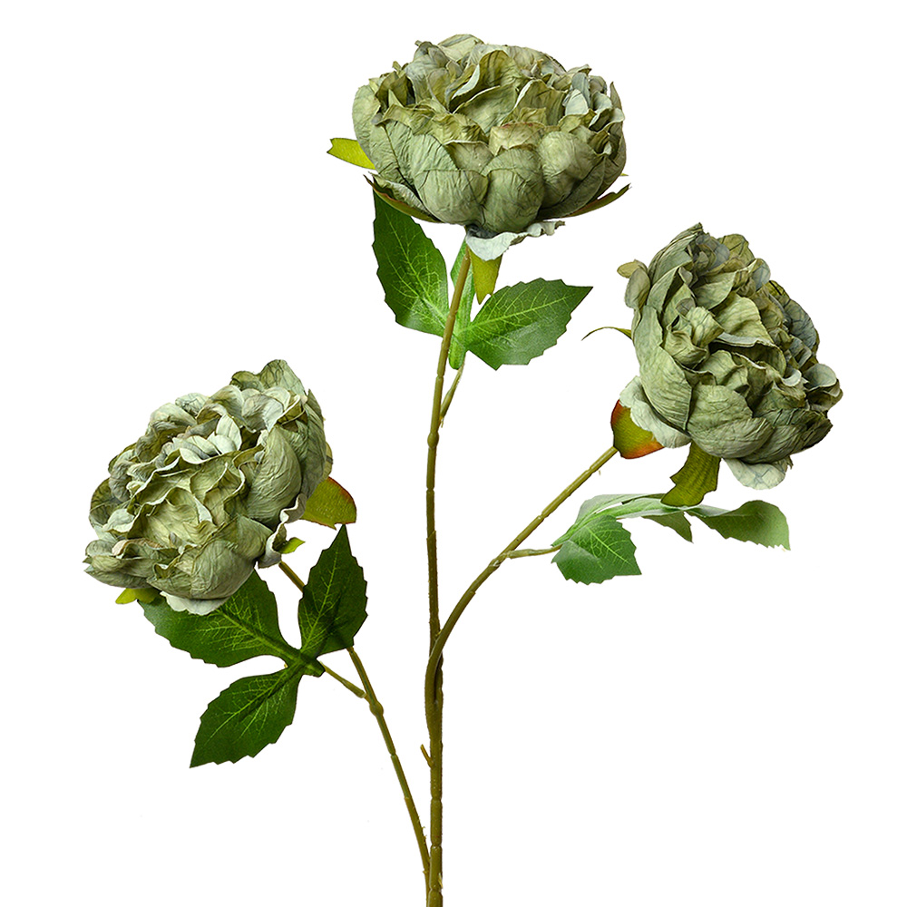 5PL0166GR_01.jpg