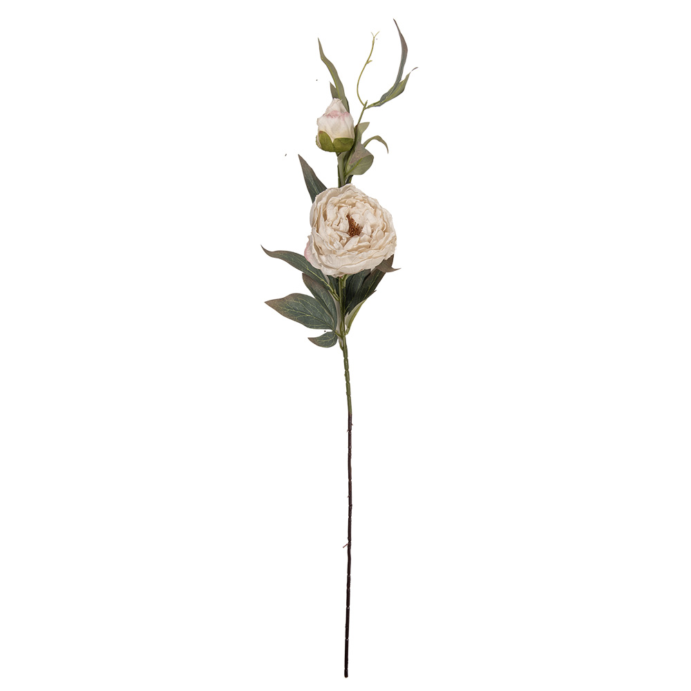 5PL0244W_02.jpg