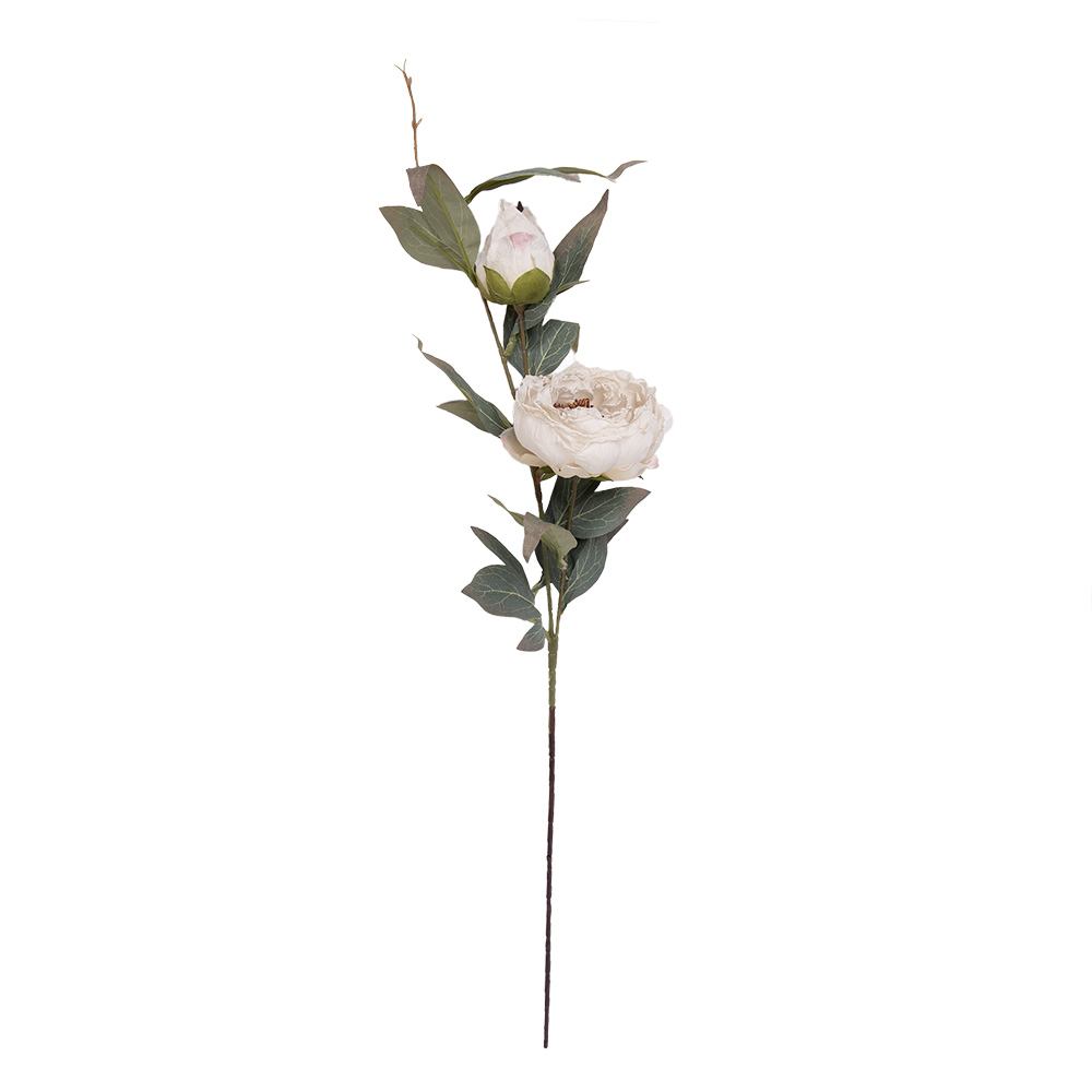 5PL0246W_02.jpg