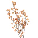 5PL0269O_01.jpg