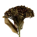 6PL0404GR_01.jpg