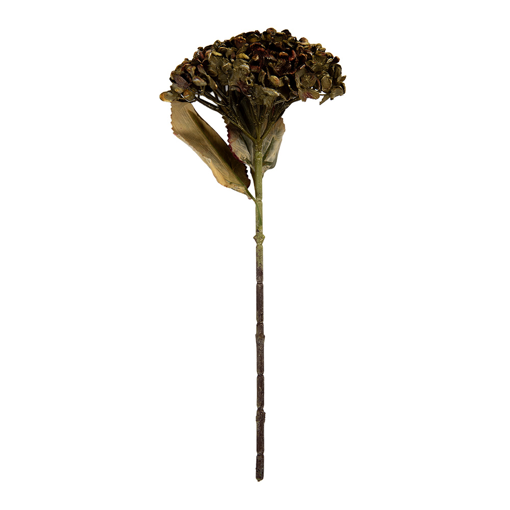 6PL0404GR_02.jpg