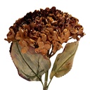 6PL0404R_01.jpg