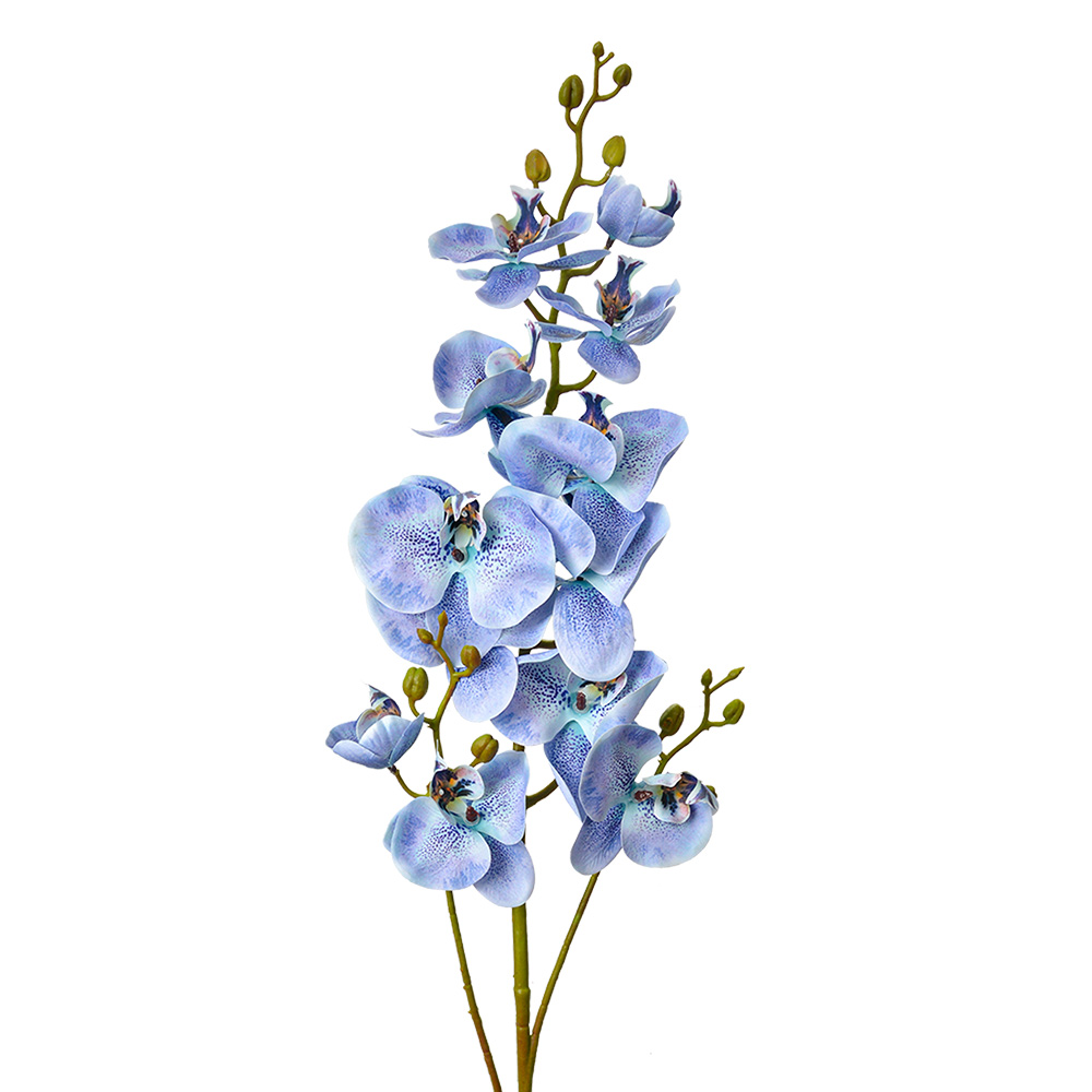 5PL0170BL_01.jpg