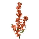 5PL0135O_01.jpg