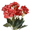 6PL0364R_01.jpg