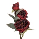 5PL0242R_01.jpg