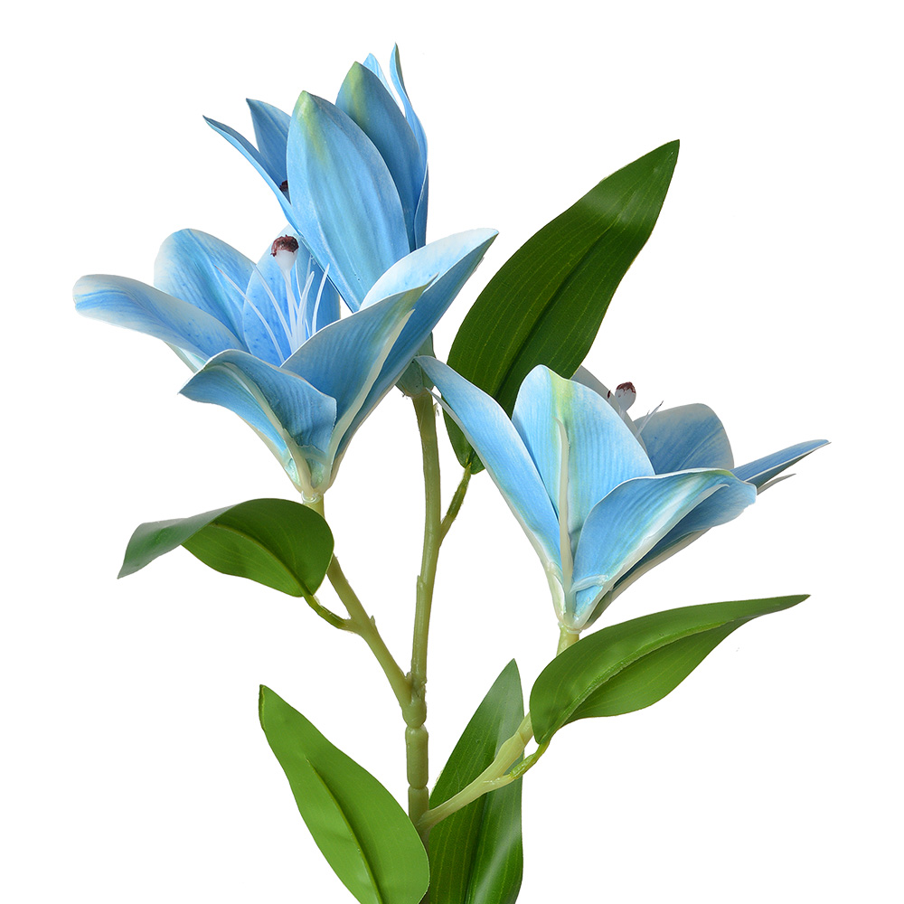 5PL0119BL_01.jpg