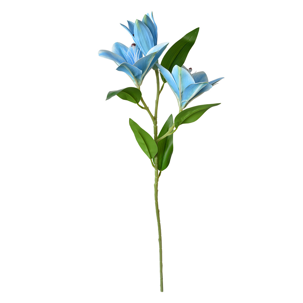 5PL0119BL_02.jpg