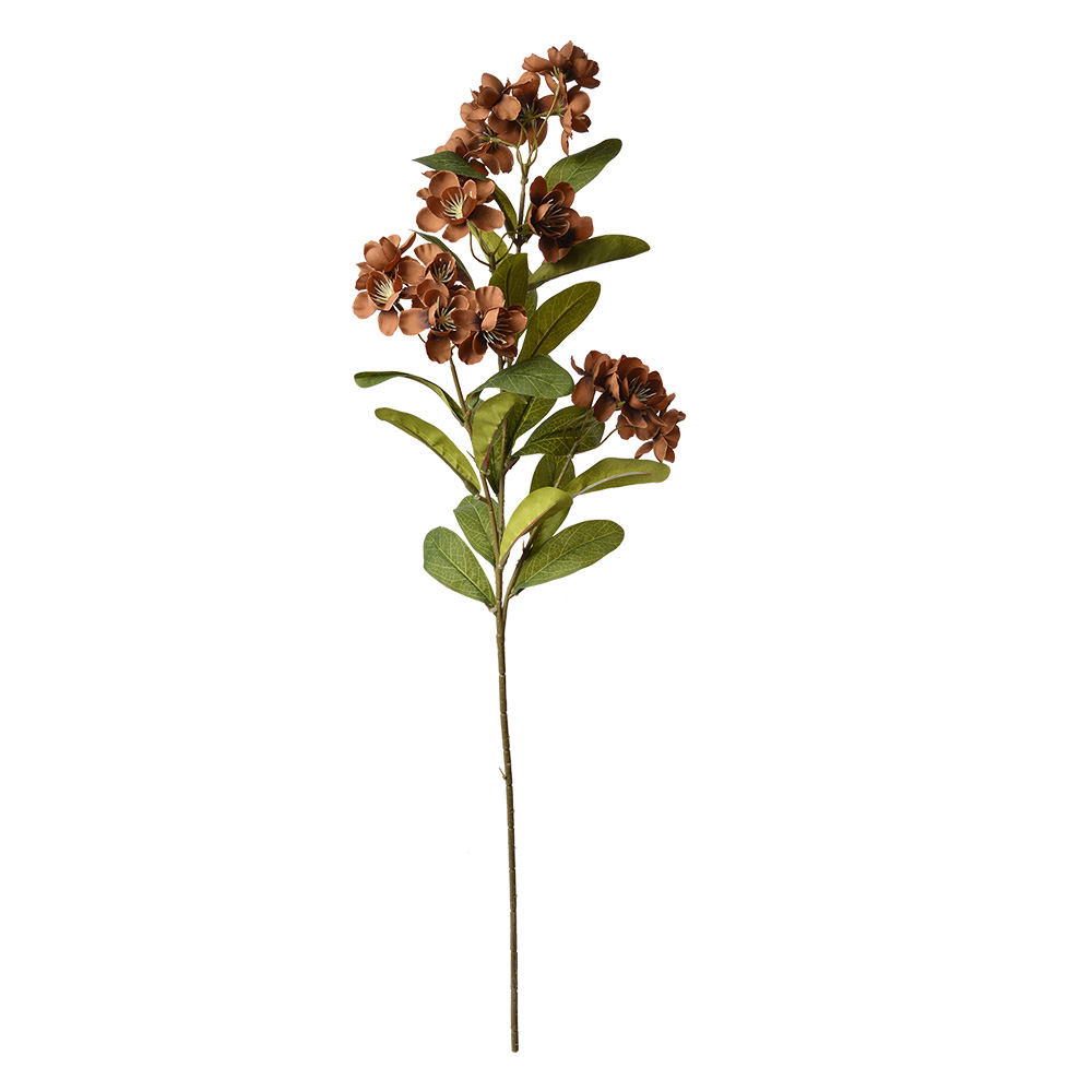 6PL0343CH_02.jpg