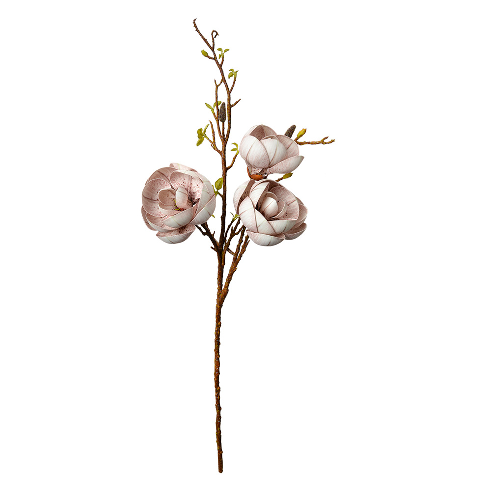 5PL0169W_02.jpg