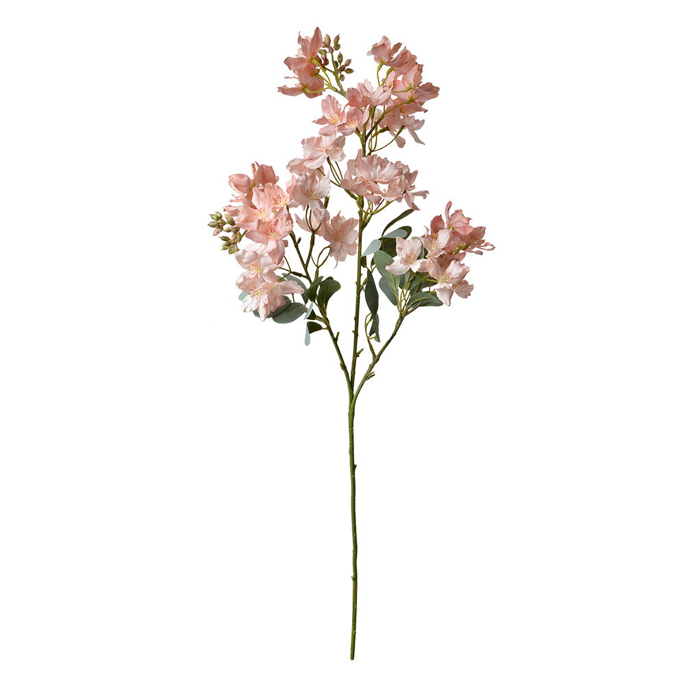 5PL0120_02.jpg