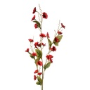 5PL0134BU_01.jpg