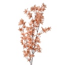 5PL0167LO_01.jpg