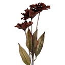 6PL0403CH_01.jpg