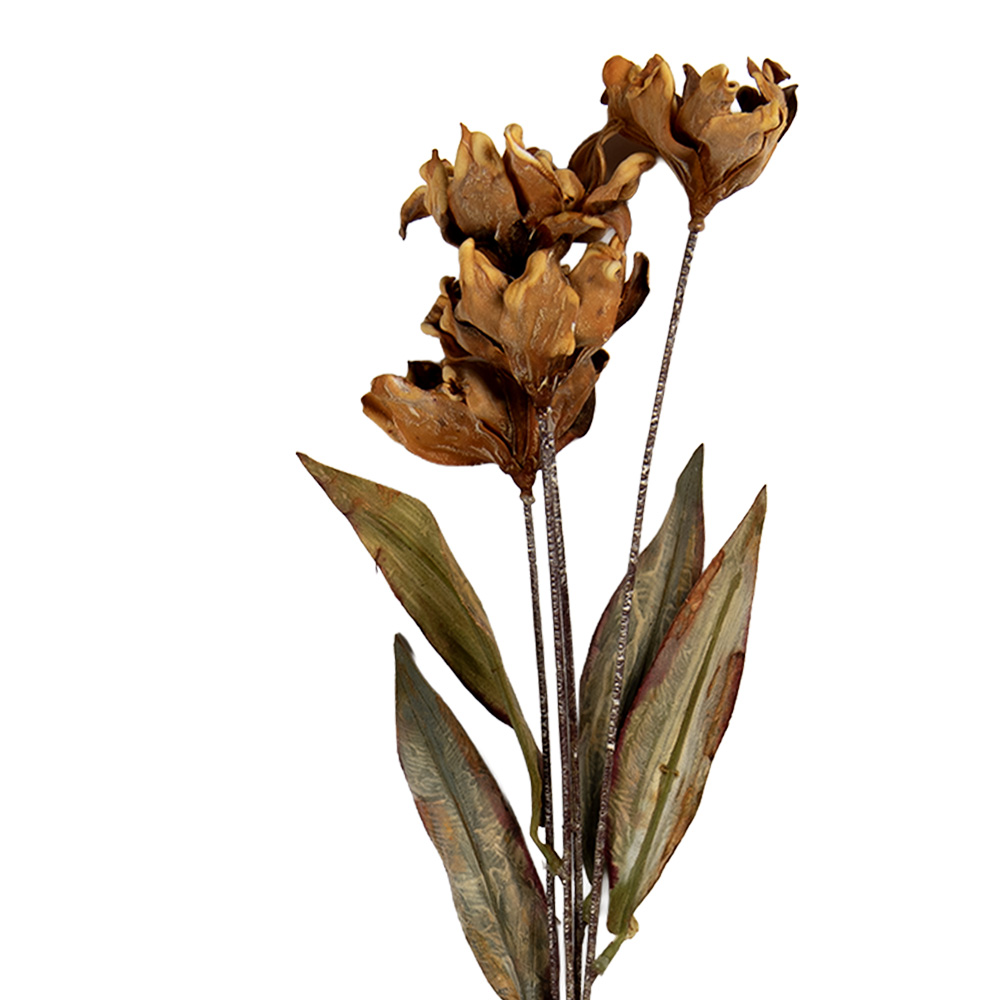 6PL0403CR_01.jpg