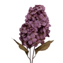 5PL0276PA_01.jpg