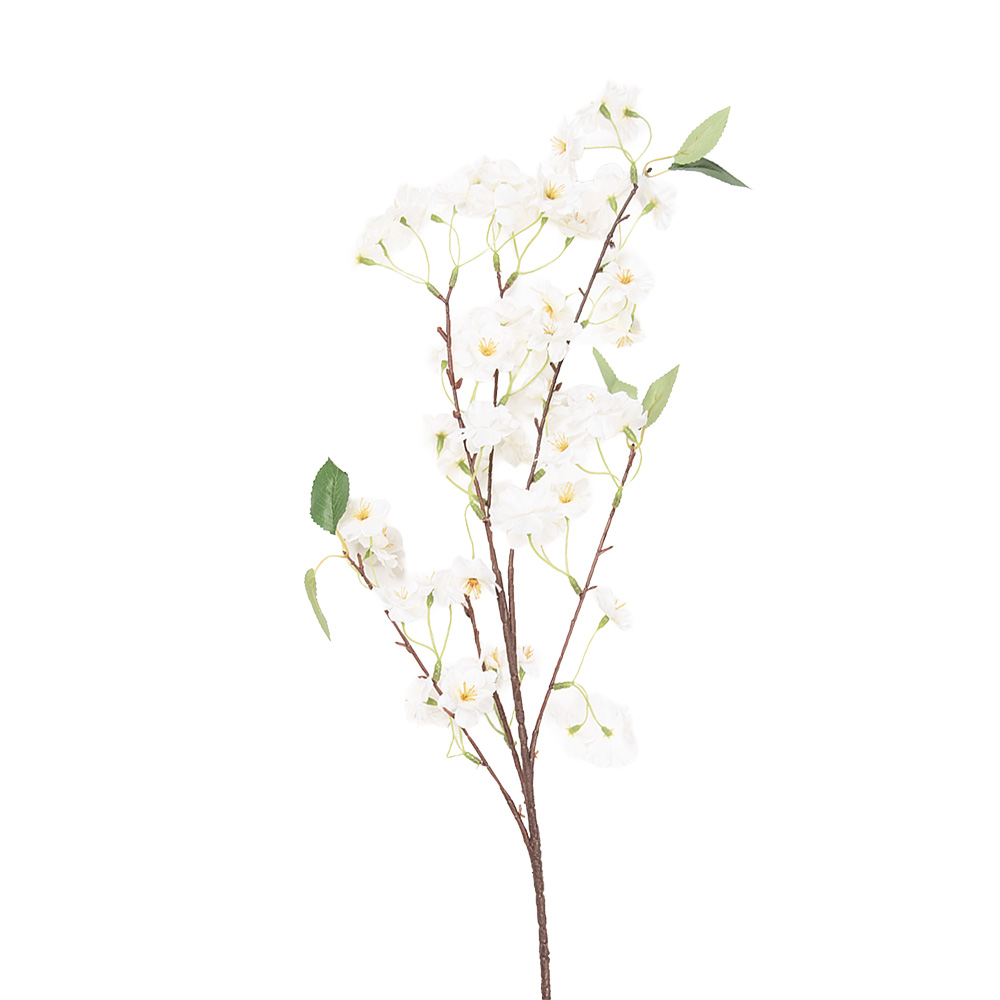 5PL0233W_01.jpg