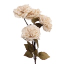 5PL0278W_01.jpg