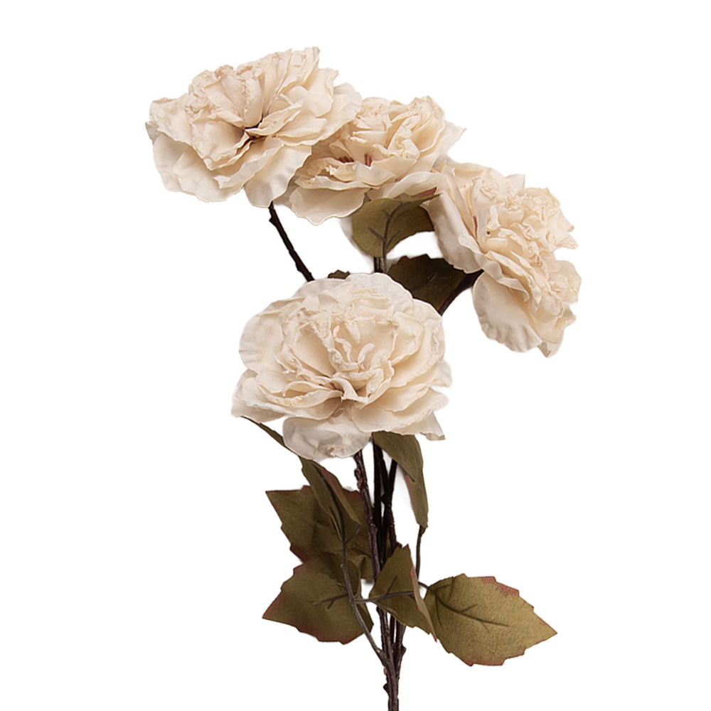 5PL0278W_01.jpg
