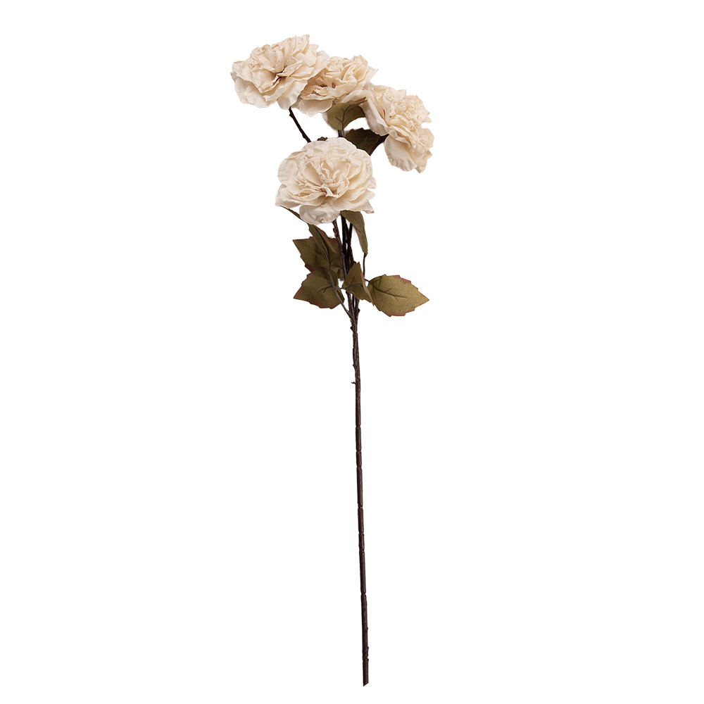 5PL0278W_02.jpg
