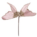 66662P_01.jpg