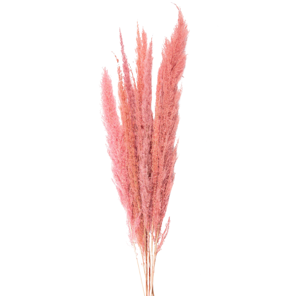 5DF0022_01.jpg