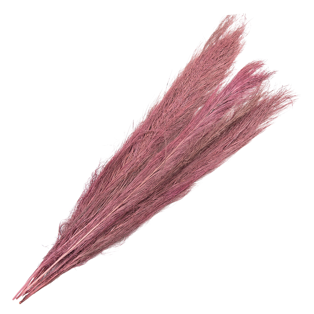 5DF0015_02.jpg