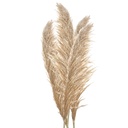 5DF0044_01.jpg