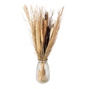 5DF0006_03.jpg